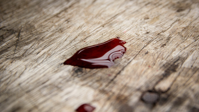 Polícia busca por cão furtado e encontra corpo de tutor em residência