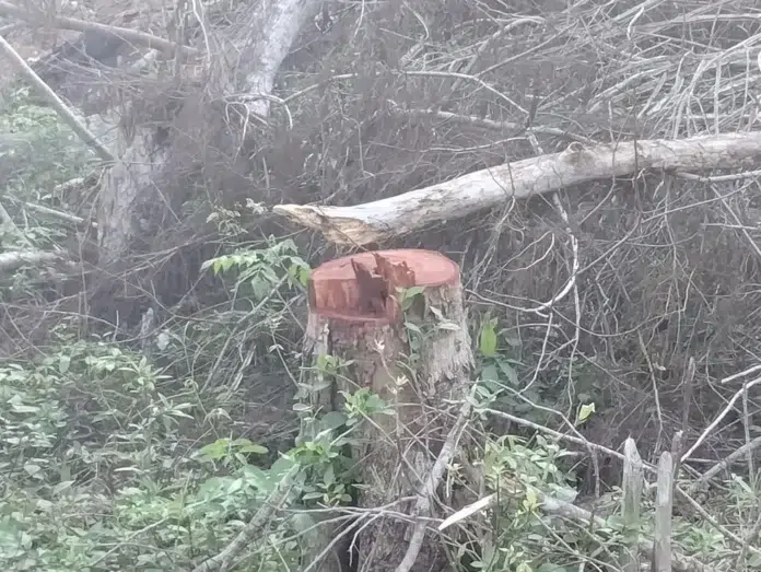 A6CBF8BD-4D04-45CF-91D5-DF7FE554F63B