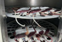 Hemocentro Regional de Campos adota novas regras para doação de sangue