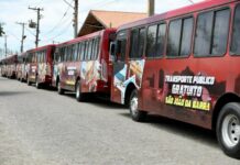 Transporte público gratuito de SJB ganha mais três ônibus com ar condicionado