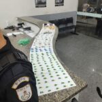 Drogas apreendidas com dois suspeitos de tráfico de drogas no Parque Presidente Vargas