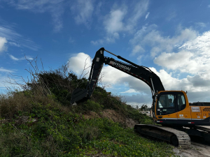 Prefeitura conclui retirada de vegetação exótica em Manguinhos