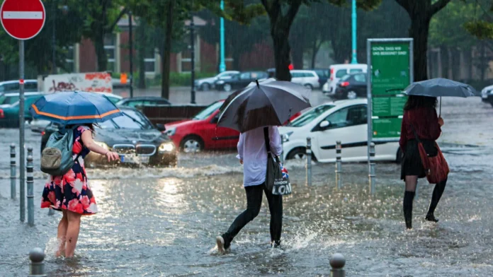Outono começa nesta quinta (20) com previsão de clima ameno e sem chuva em SP