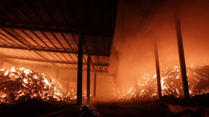 Incêndios florestais já fizeram pelo menos 18 mortos na Coreia do Sul