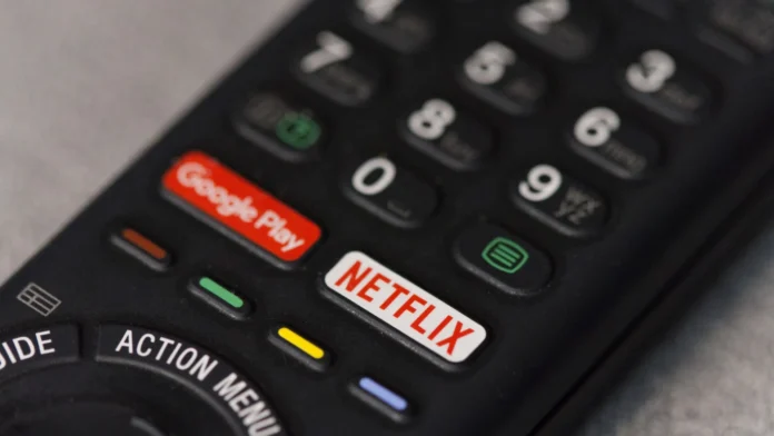 Netflix quer bancar cinemas em instituições de ensino e ações pró-turismo no Brasil