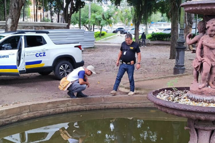 Foto: Luciano Souza / Divulgação
