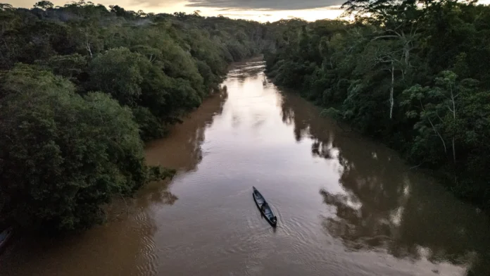 Menina de 2 anos morre depois de ser atacada por piranhas no rio Amazonas
