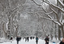 Nova York declara estado de emergência em meio a nevasca