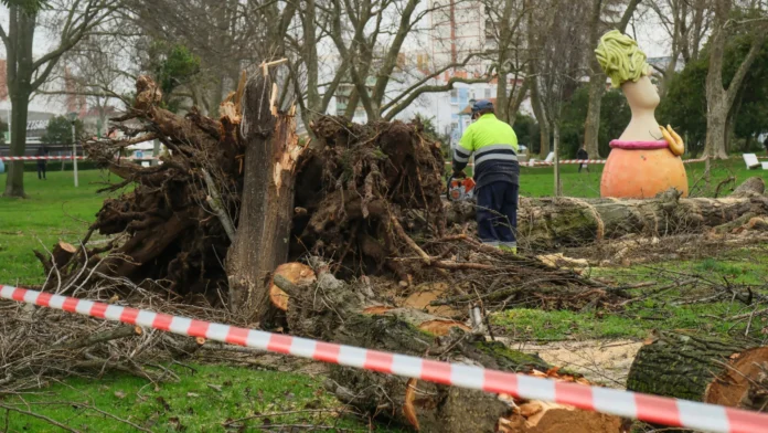 Tempestade em Portugal mata cinco pessoas, provoca apagão e deslizamentos