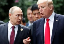 ‘Não acho que será necessário’, diz Trump sobre suposta captura de Putin