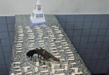 Polícia Militar apreende drogas e arma de fogo em Travessão