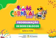 Carnaval: prefeitura divulga relação de blocos e bois regularizados
