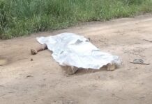 Homens são assassinados e mulher é baleada na perna