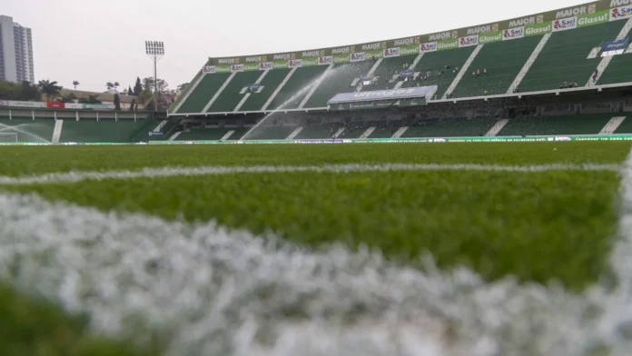 Palmeiras abre mão de R$ 14 milhões para trocar gramado do Allianz Parque