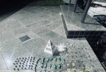 Polícia Militar realiza apreensão de drogas em Guarus