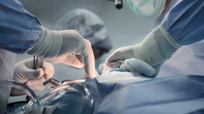 Vaticano autoriza xenotransplante para católicos, mas aponta ressalvas