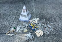 Suspeitos fogem e abandonam drogas escondidas durante patrulhamento policial