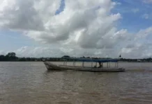 Quatro são presos com carga de grude de peixe avaliada em R$ 1 mi no Amapá