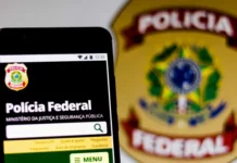 PF investiga entrada de malas por avião de empresário em que estavam Motta e Ciro Nogueira