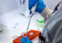 Variante BA.3.2 da Covid oferece baixo risco, mas vigilância deve continuar, dizem especialistas