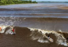 Surfistas pegam onda na pororoca no Pará