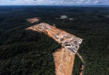 Planeta perdeu mais de 41 milhões de hectares de florestas em 10 anos