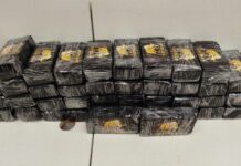 Motorista de Campos preso na Dutra com 50 kg de cocaína