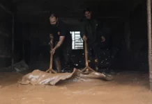 Temporal no RS deixa desalojados e provoca danos em 19 cidades