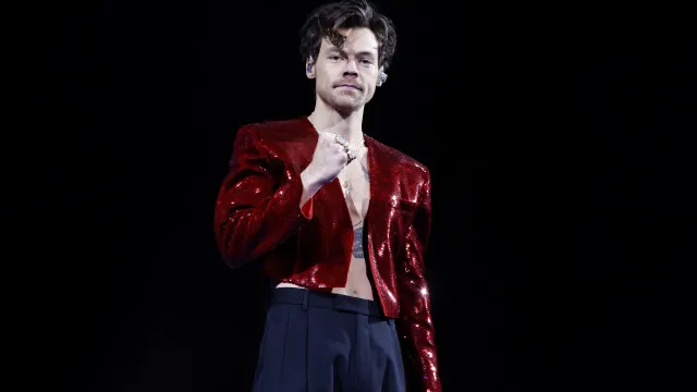 Com ingressos a R$ 7 mil, VIP de Harry Styles é criticado e equipe explica