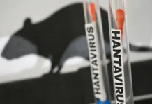 Paraná confirma dois casos de hantavírus e investiga outros 11