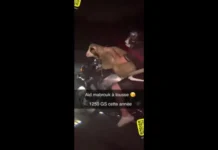 Homem é filmado transportando ovelha em moto na França; vídeo