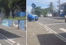 Jovem de 20 anos morre atropelada por ônibus