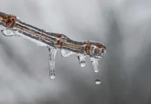 Potente massa de ar frio pode trazer neve a dois estados do Brasil