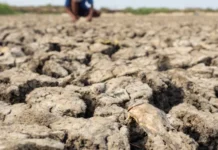 El Niño começou e ficará intenso no final do ano, aponta agência dos EUA