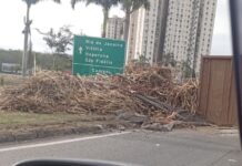Reboque de caminhão com carga de cana tomba e causa congestionamento na BR-101 em Campos
